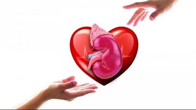 بين الحلال والحرام.. كل ما تريد معرفته عن التبرع بالأعضاء في الإسلام