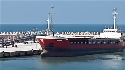 تصدير 3400 طن ملح إلى لبنان عبر ميناء العريش