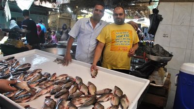 الجمبري بـ 80 جنيهًا.. أسعار الأسماك في أقدم أسواق محافظة الإسماعيلية
