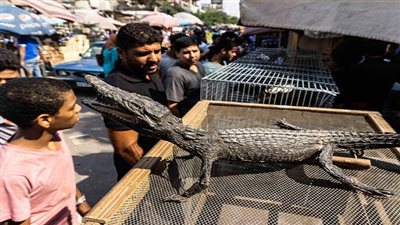 البيئة تستعرض إنجازاتها في مكافحة الاتجار غير الشرعي بالحياة البرية خلال 2021