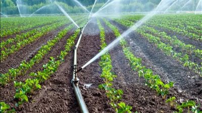 الري: الانتهاء من تحويل زمام 489 ألف فدان من الري بالغمر للري الحديث