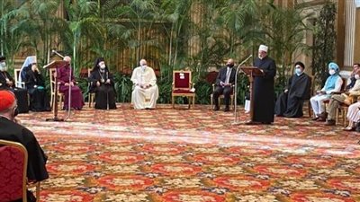 شيخ الأزهر يدعو للوقوف في وجه أي نشاط يفاقم من أزمة تغير المناخ