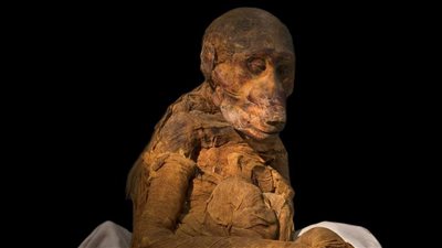 بمناسبة اليوم العالمي للحيوان.. المتحف المصري بالتحرير يعرض مومياء لـ قرد البابون 