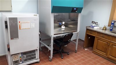 تطوير معامل معهد بحوث أمراض النباتات | صور