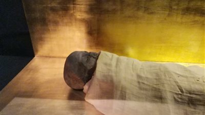 تعرف على مومياء مرن رع بعد نقلها بسبب تشققات متحف سقارة 