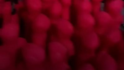 ضبط 19 ألف قطعة حلوى المولد داخل 3 مصانع دون ترخيص في البحيرة