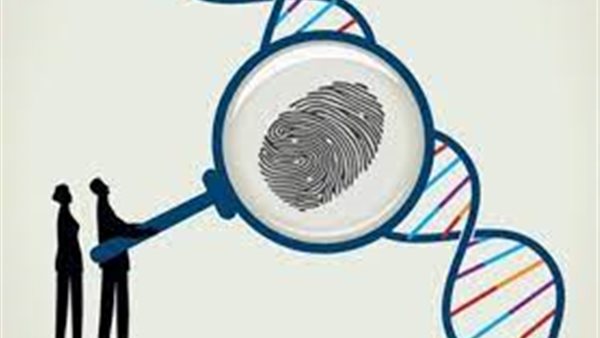 إنشاء بنك DNA