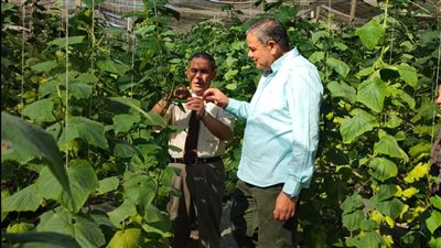 رئيس جامعة كفر الشيخ يتفقد المزرعة التعليمية والبحثية لكلية الزراعة| صور 