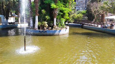 الزراعة تواصل أعمال تطوير وتجميل حديقة الأسماك | صور