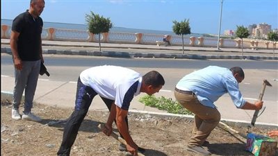 زراعة أشجار ونخيل.. إطلاق مبادرة شهيدنا حي تخليدًا لذكرى الشهداء بكفر الشيخ │ صور