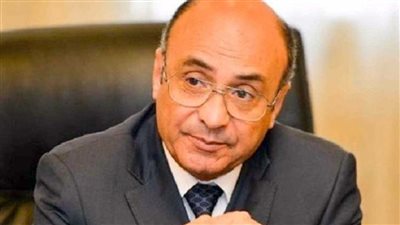 وزير العدل: لا يوجد في مصر محاكمات سياسية أو اختفاء قسري |فيديو