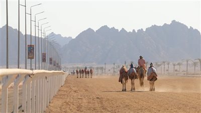 جنوب سيناء تحتفل بذكرى نصر أكتوبر بافتتاح عدة مشروعات بحضور وزير الأوقاف 