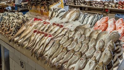تعرف علي سعر الأسماك اليوم في سوق العبور