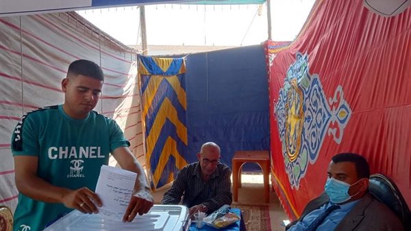 التصويت في الانتخابات