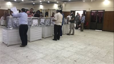 إقبال كبير من أطباء كفر الشيخ للإدلاء بأصواتهم في انتخابات التجديد النصفي | صور وفيديو