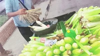 من العمل في مجال البترول لبائع ذرة مشوي وشيف إيطالي.. إسلام: نفسي مشروعي ينجح