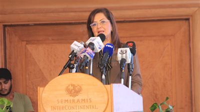  التخطيط: 31.4 مليار دولار قيمة تحويلات المصريين بالخارج عام 2020 /2021