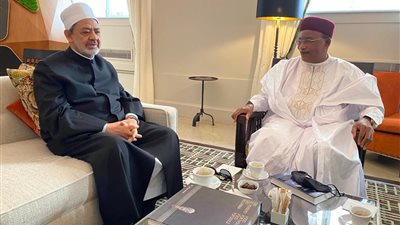 شيخ الأزهر يلتقي الرئيس السابق للنيجر لمناقشة سبل دعم القارة الإفريقية