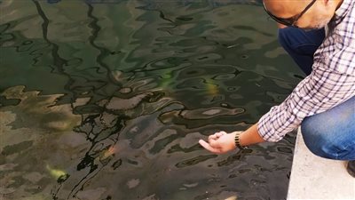 وزير الزراعة يوجه بضرورة الحفاظ على الأشجار والطابع الأثري لجنينة الأسماك