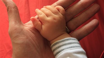 ما حكم تحديد نوع الجنين عن طريق التلقيح المجهري أو أطفال الأنابيب؟.. الإفتاء تجيب