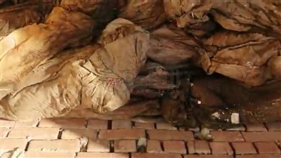 النيابة تعاين موقع العثور على جماجم ورفات موتى داخل مقابر بطنطا بعد هدمها وشكوى الأهالي | صور