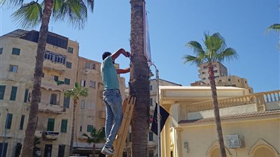 حملات مكبرة لإزالة الإعلانات غير المرخصة بالإسكندرية