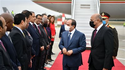 لحظة وصول السيسي إلى العاصمة المجرية بودابست للمشاركة في قمة فيشجراد | فيديو