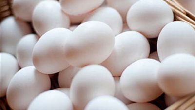 شعبة البيض تكشف أسباب ارتفاع أسعاره وموعد انخفاضه | فيديو
