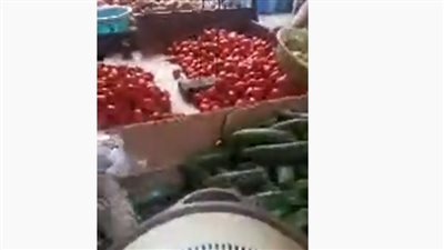 الطماطم بـ8 جنيهات والكوسة بـ7.. استقرار أسعار الخضراوات اليوم في الأسواق