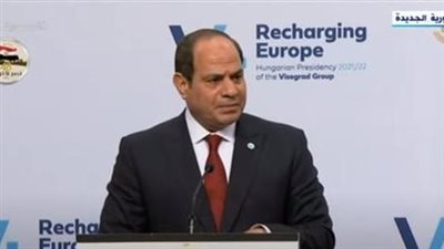 السيسي: 6 ملايين لاجئ في مصر.. والدولة تعتبرهم ضيوفًا 