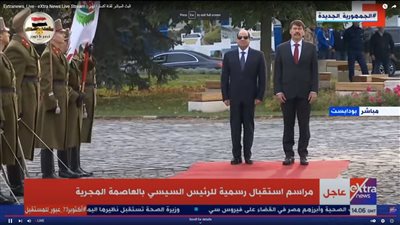 تزامنًا مع زيارة السيسي.. تعرف على حجم العلاقات التجارية بين مصر والمجر