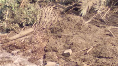 مصرع عامل في انهيار جزئي لمنزل بقنا