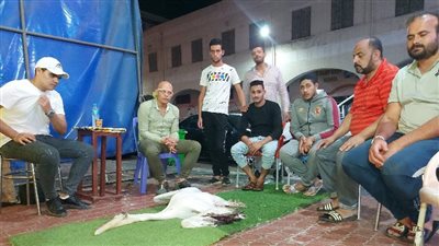 بعد نفوق مهجة.. الحزن يخيم علي شارع البازار ببورسعيد.. والأهالي: «هنحنطها مش قادرين نستغني عنها» | صور وفيديو