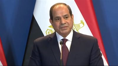 11 رسالة هامة من السيسي خلال جلسته مع رئيس وزراء المجر | فيديو