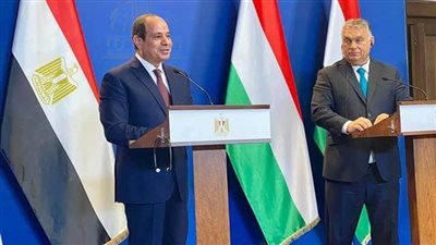 متحدث الرئاسة: إجراءات مشددة لمنع الهجرة غير الشرعية إلى أوروبا عبر مصر 