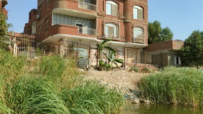 الري: إزالة مبنى مخالف مكون من 5 طوابق على النيل بحلوان