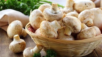 تعزز المناعة وتساعد على الهضم.. ما هي فوائد قهوة المشروم؟