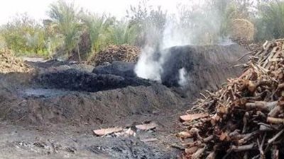 إزالة 81 مكمورة فحم بالدقهلية لمخالفتها قانون البيئة