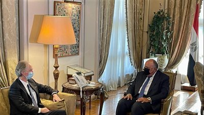 مصر تؤكد دعمها كافة المساعي الرامية إلى إيجاد تسوية شاملة للأزمة السورية |صور