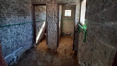 تكثيف الجهود لـ سرعة تشغيل مركز التراخيص الخاصة ببورسعيد | صور