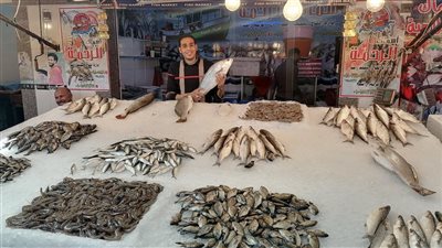 طاجن البطارخ بـ 50 جنيها.. سياحة اليوم الواحد تُحدث رواجًا بسوق الأسماك النموذجي في بورسعيد
