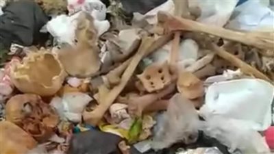 العثور على بقايا عظام وجماجم في مقلب قمامة بطنطا.. والحي: هياكل تعليمية 
