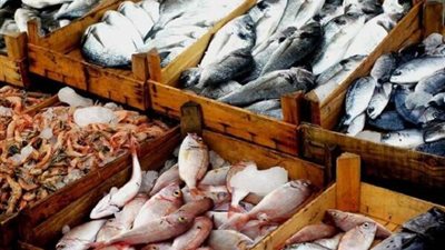 بفارق سعر 100 مليون جنيه.. ضبط 3 شركات استيراد وتصدير زوروا أوراق رسمية للتهرب الجمركي