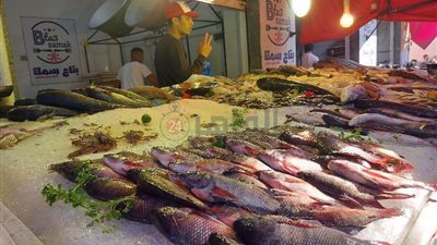 تعرف علي أسعار الأسماك اليوم الجمعة 26-11-2021