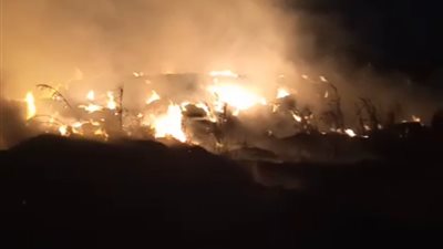 السيطرة على حريق نشب في شونة قش بالدقهلية | صور