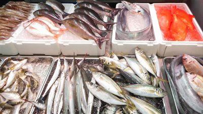 انخفاض أسعار الأسماك اليوم ببورصة كفر الشيخ.. والبلطي يسجل 28 جنيهًا 