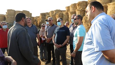 البيئة تتابع منظومة مكافحة نوبات تلوث الهواء الحادة بمحافظتي الشرقية والدقهلية