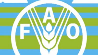 في اليوم العالمي للأغذية.. تعرف على شعار هذا العام