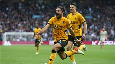 ولفرهامبتون يفوز على أستون فيلا وساوثهامبتون يتفوق على ليدز في الدوري الإنجليزي