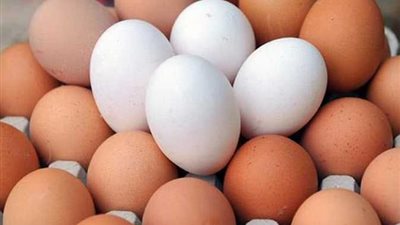 ماذا يحدث للجسم عند تناول البيض يوميًا؟